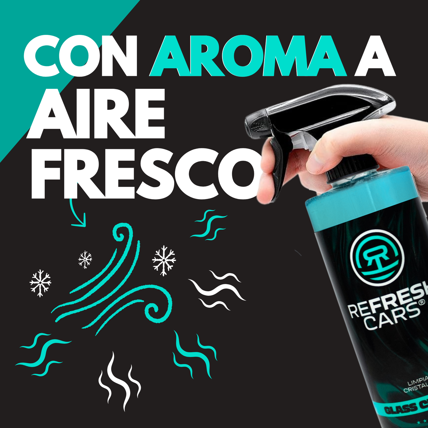 Limpia Cristales