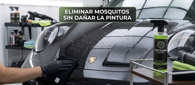 Eliminar mosquitos sin dañar la pintura