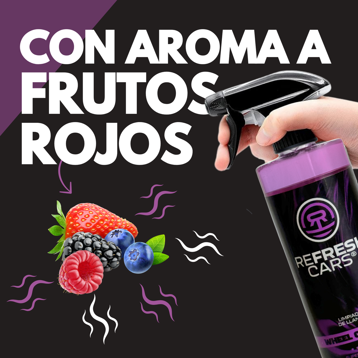 Limpia Llantas